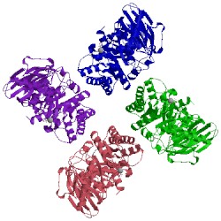 Image of CATH 1aa1