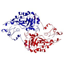 Image of CATH 1aat