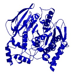 Image of CATH 1acj