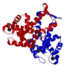 Image of CATH 1alw