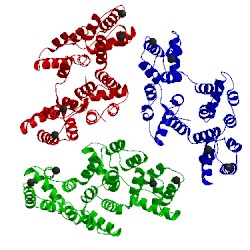 Image of CATH 1anx