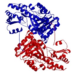 Image of CATH 1arh