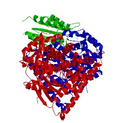 Image of CATH 1bvy