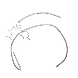 Image of CATH 1bzt