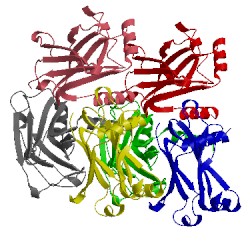 Image of CATH 1ca4