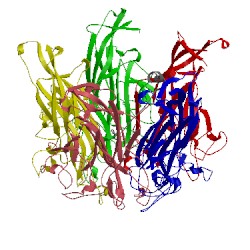 Image of CATH 1cn3