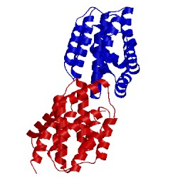 Image of CATH 1col