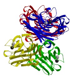 Image of CATH 1cq9