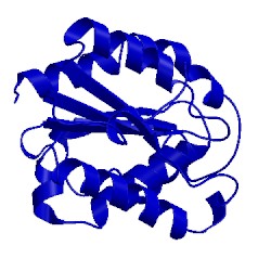 Image of CATH 1cue