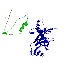 Image of CATH 1d6e