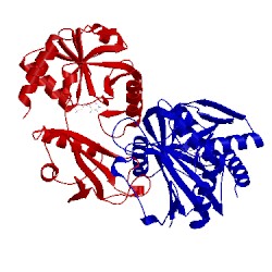 Image of CATH 1daa