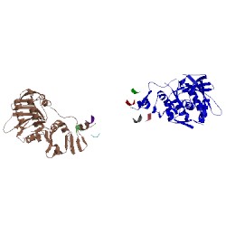 Image of CATH 1dm0