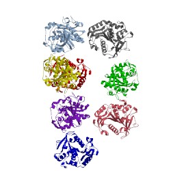 Image of CATH 1dt5