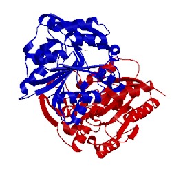 Image of CATH 1dwo