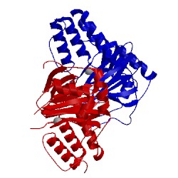 Image of CATH 1e5s