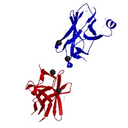 Image of CATH 1eaq