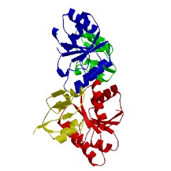 Image of CATH 1eay