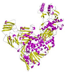 Image of CATH 1ej6A