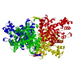 Image of CATH 1epx