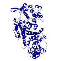 Image of CATH 1fmv