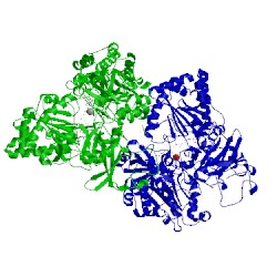 Image of CATH 1g8j