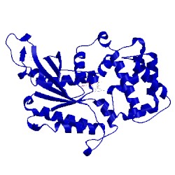 Image of CATH 1gdd