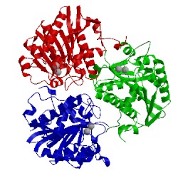 Image of CATH 1gq6