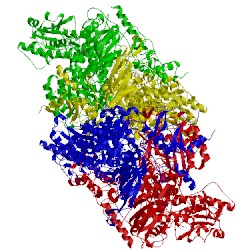 Image of CATH 1gth