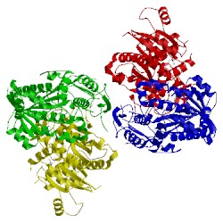 Image of CATH 1gy8