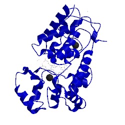 Image of CATH 1h5m