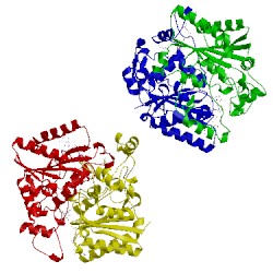 Image of CATH 1h66