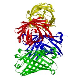 Image of CATH 1hcj