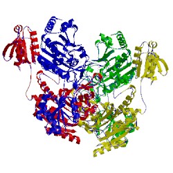 Image of CATH 1htt