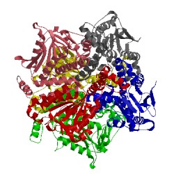 Image of CATH 1hzd