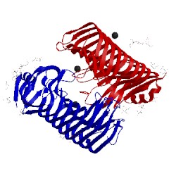 Image of CATH 1ib4