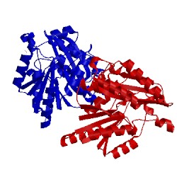 Image of CATH 1iho