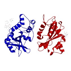 Image of CATH 1ioo