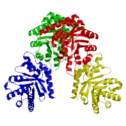 Image of CATH 1ixp