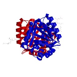 Image of CATH 1jay