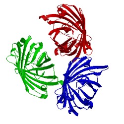 Image of CATH 1jc1