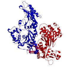 Image of CATH 1jih