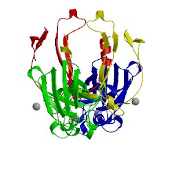 Image of CATH 1jk9