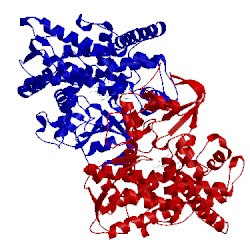 Image of CATH 1jme