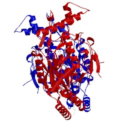 Image of CATH 1jwk