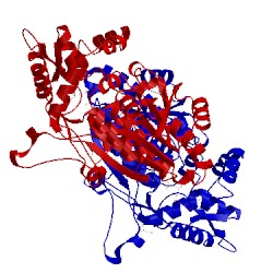 Image of CATH 1kew