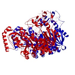 Image of CATH 1ksu