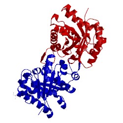 Image of CATH 1kv5