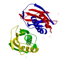 Image of CATH 1kvd