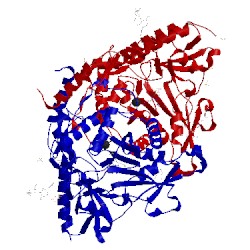 Image of CATH 1lk9