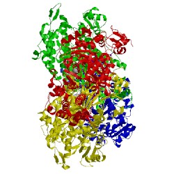 Image of CATH 1lkx